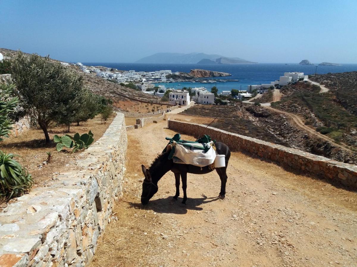 Flisvos Villa Karavostasis  Dış mekan fotoğraf